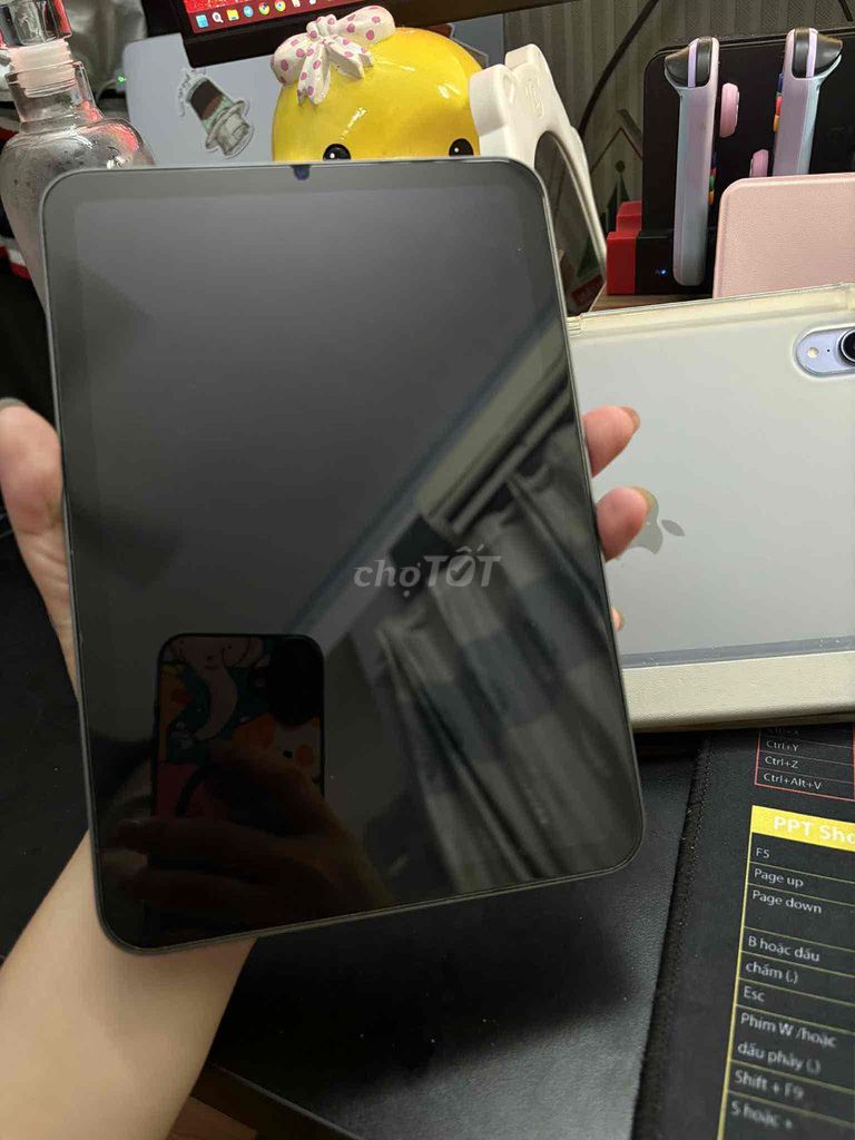 PASS IPAD MINI 6 (64GB , màu xám). Mua bán Máy tính bảng tại Thành phố Thủ Đức Tp Hồ Chí Minh được đăng bởi Đỗ Trọng Tình hình 1