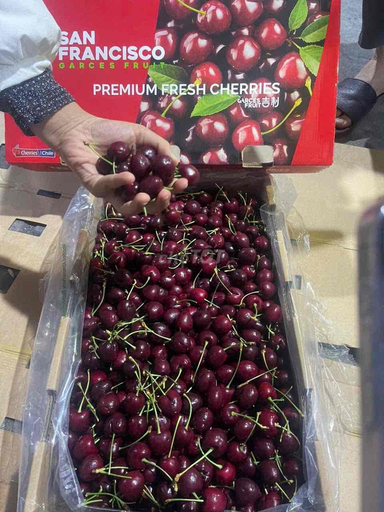 cherry chile 5kg 1tr500