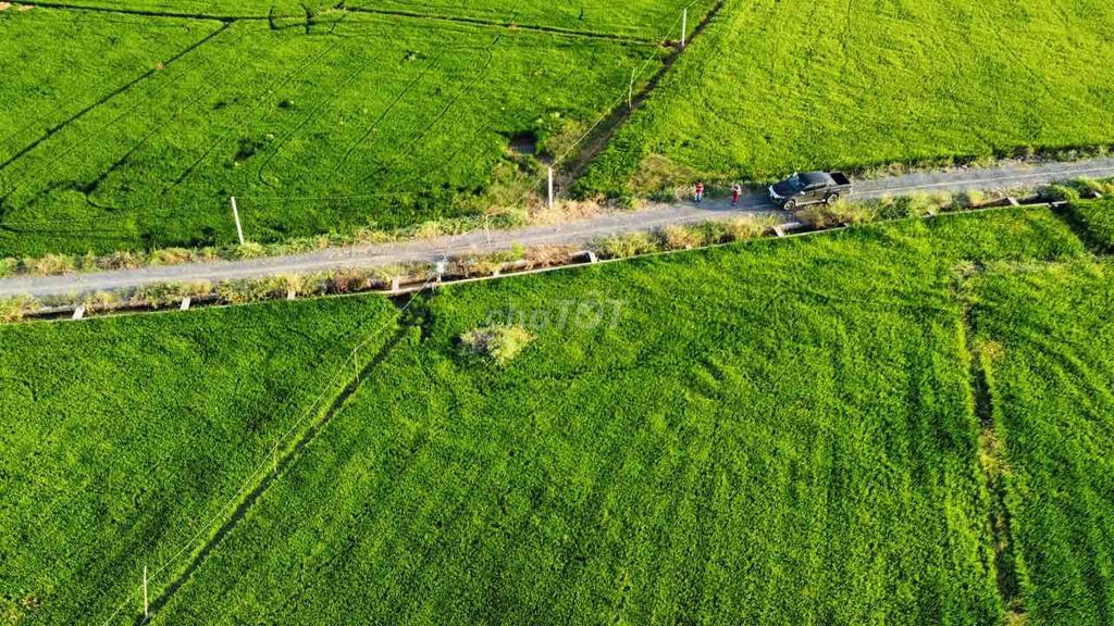 Bán lô đất lúa chính chủ 5000m vị trí đắc địa siêu đẹp 🌾