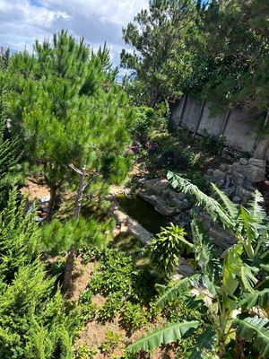 Bán Villa Sân vườn rộng trung tâm TP Đà Lạt