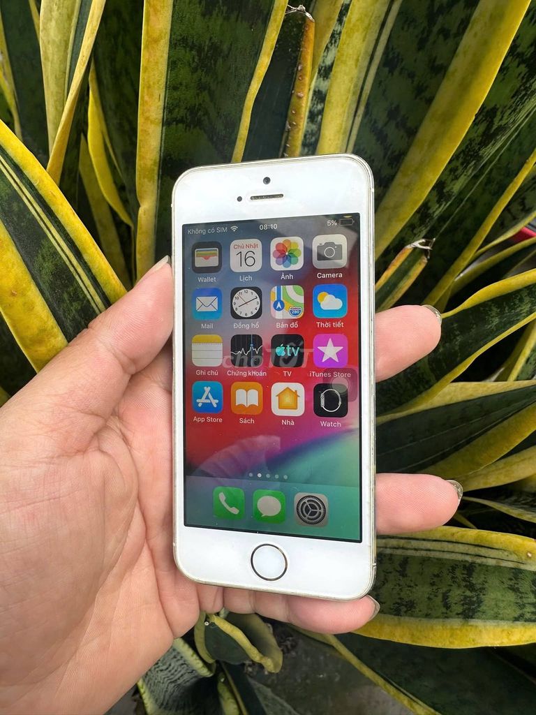 Apple iPhone 5s 16GB Bạc Đã sử dụng. Mua bán Điện thoại tại Quận 12 Tp Hồ Chí Minh được đăng bởi Hội Đồ Điện Tử hình 1