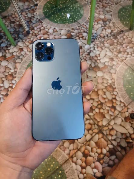 iPhone 12 Pro 256GB Xanh. Mua bán Điện thoại tại Quận Bình Tân Tp Hồ Chí Minh được đăng bởi Hội Đồ Điện Tử hình 1