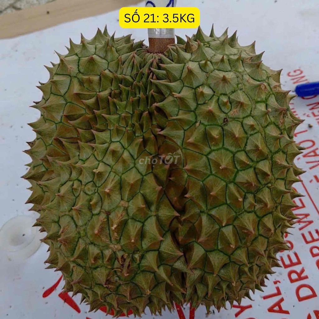 Sầu riêng Monthong Thái Lan. Mua bán Đồ ăn, thực phẩm và các loại khác tại Huyện Bình Chánh Tp Hồ Chí Minh được đăng bởi Trần Yến Nhi hình 1