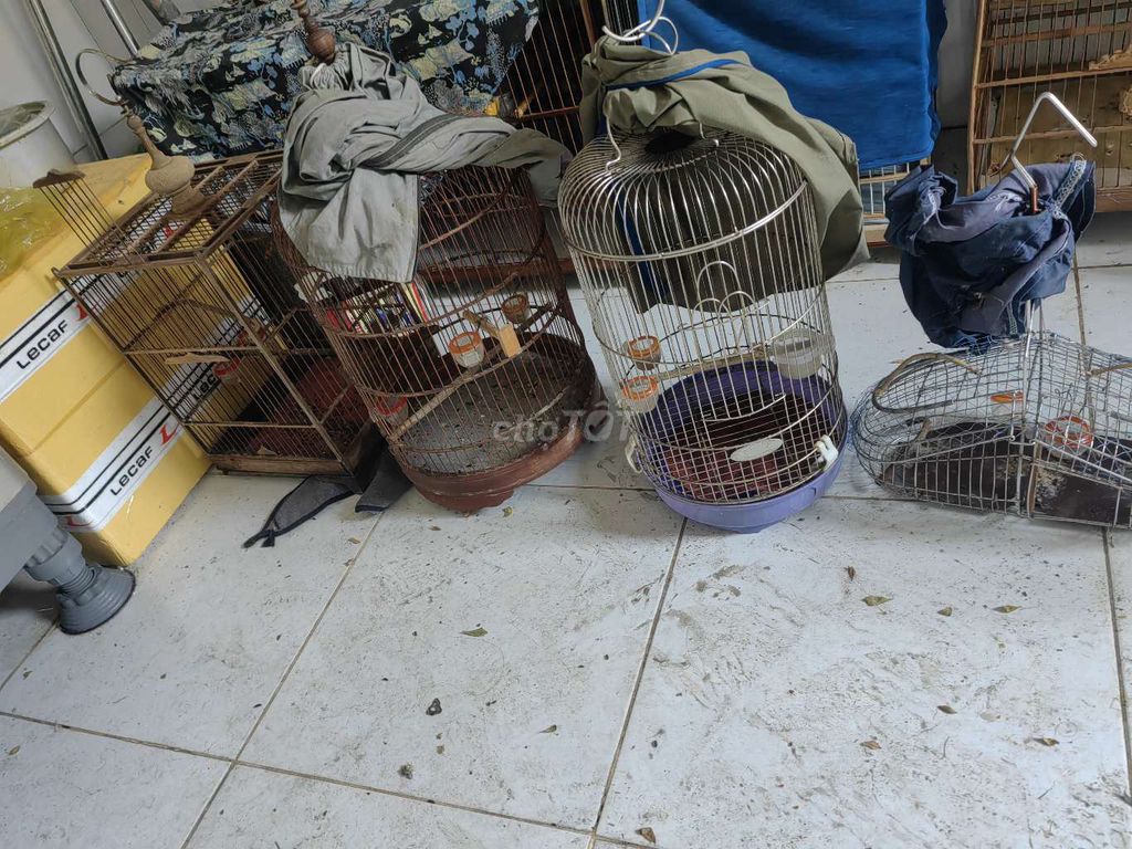 thanh lý lồng chim sâu. Mua bán Phụ kiện, Thức ăn, Dịch vụ tại Huyện Bình Chánh Tp Hồ Chí Minh được đăng bởi khanguyen hình 1
