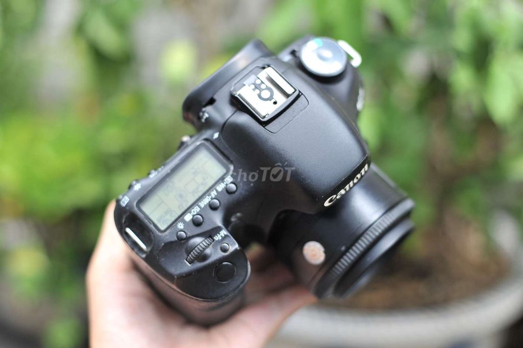 Canon 7D + Yongnuo 35 F2 chuyên chân dung.