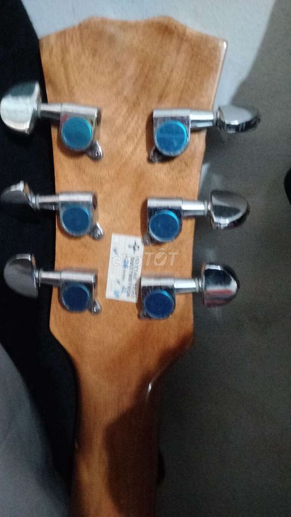 Đàn guitar TD17 gỗ nâu. Mua bán Nhạc cụ tại Quận Ninh Kiều Cần Thơ được đăng bởi Phi Ghi Ta hình 1