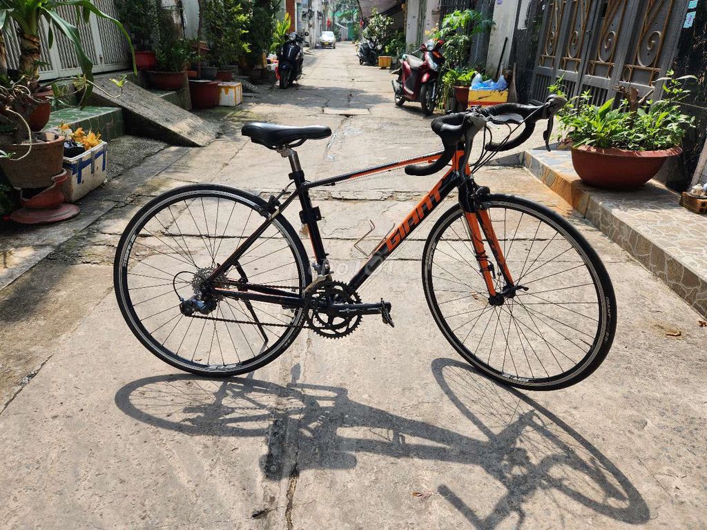 Dư dùng thanh lý Giant Defy 4 , 2016 phuộc cabon