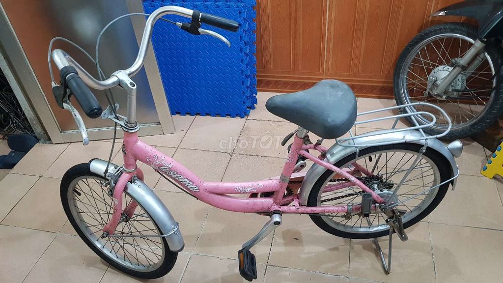Xe đạp trẻ em asama vành 20 inch màu hồng