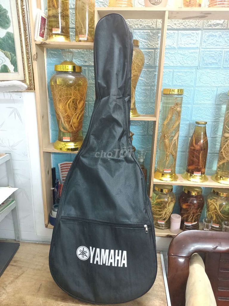 Đàn Guitar Classic ECHO C350 make in Japan