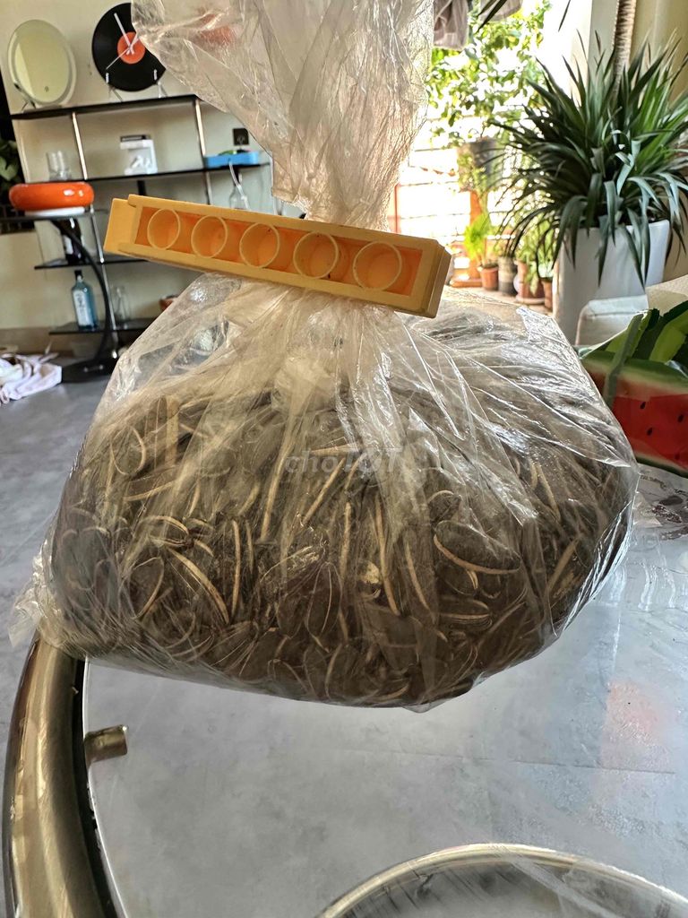 Hạt hướng dương Hơi ỉu. Mua bán Đồ ăn, thực phẩm và các loại khác tại Quận Cầu Giấy Hà Nội được đăng bởi Nguyễn Mỹ Anh  hình 1