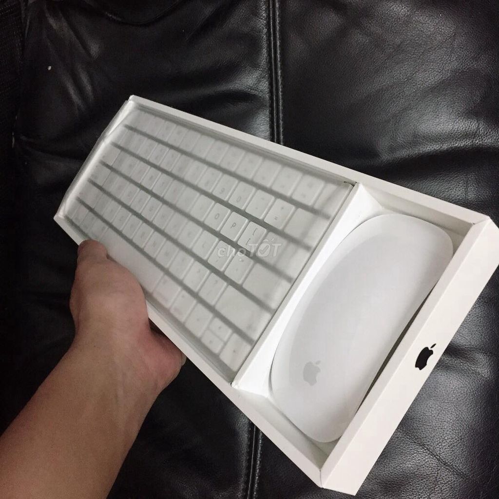 0979318388 - Bộ bàn phím và chuột Apple Magic Mouse, Keyboard 2