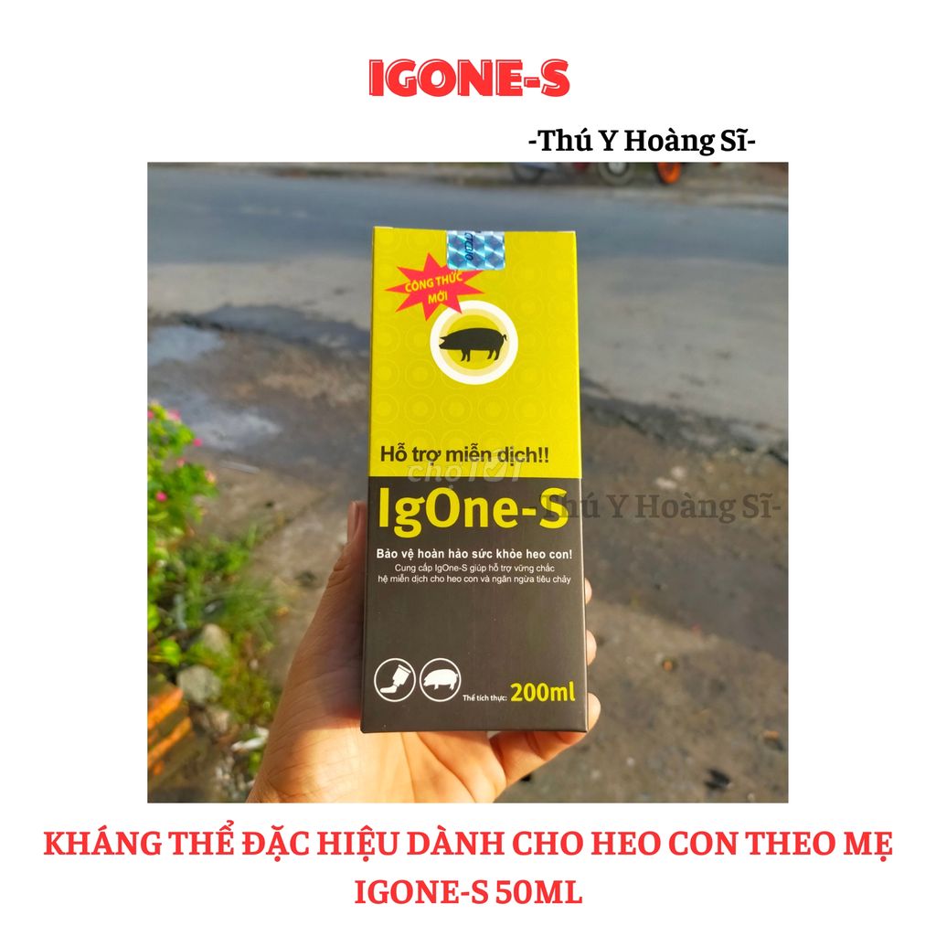 Kháng thể đặc hiệu cho heo con theo mẹ IgOneS 50ml