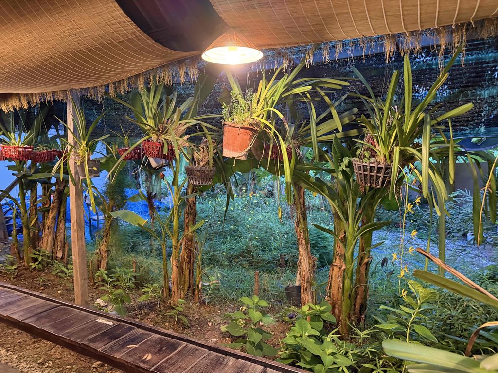 Cho thuê quán caphe view sông nhà vườn gỗ