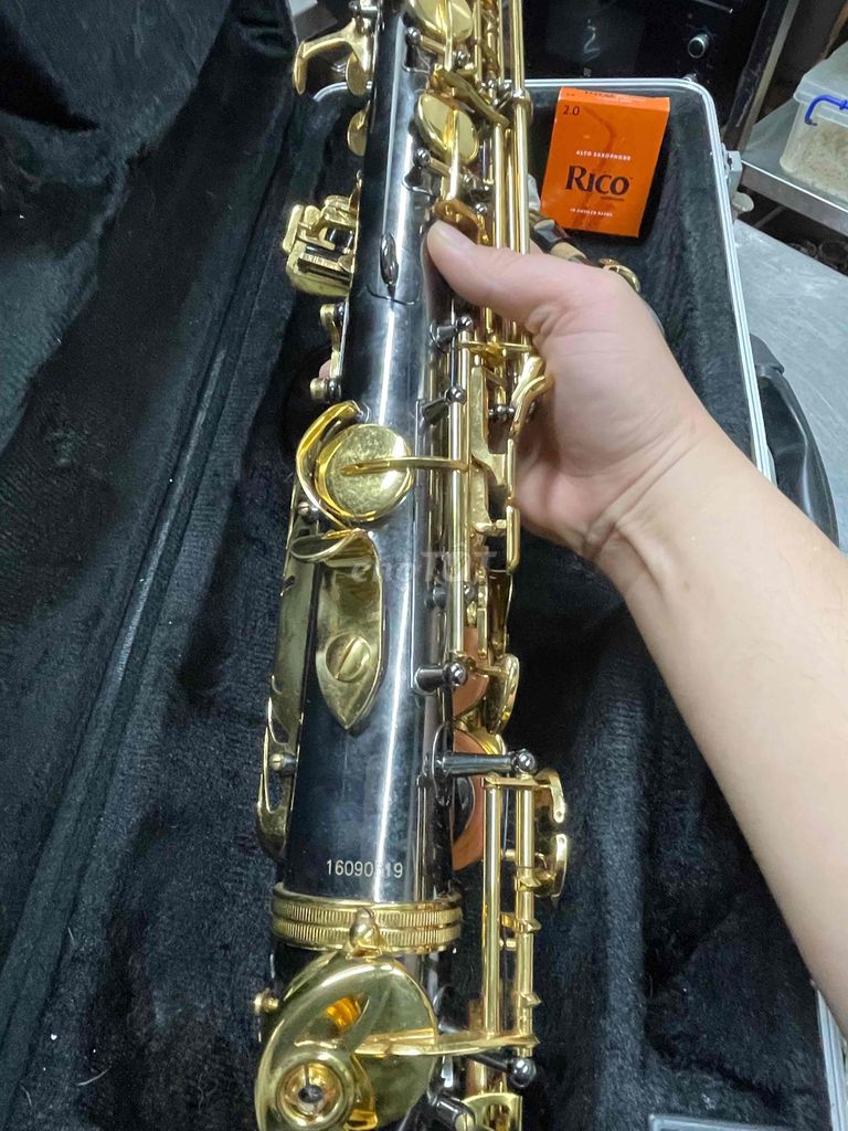 tôi cần pass lại cây Saxophone