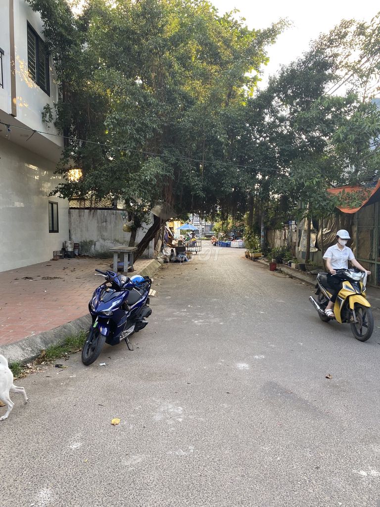 Chính chủ cần bán nhà số 19 châu mạnh trinh, p. quang trung, quy nhơn Chính chủ cần bán nhà số 19 châu mạnh trinh, p. quang trung, quy nhơn
