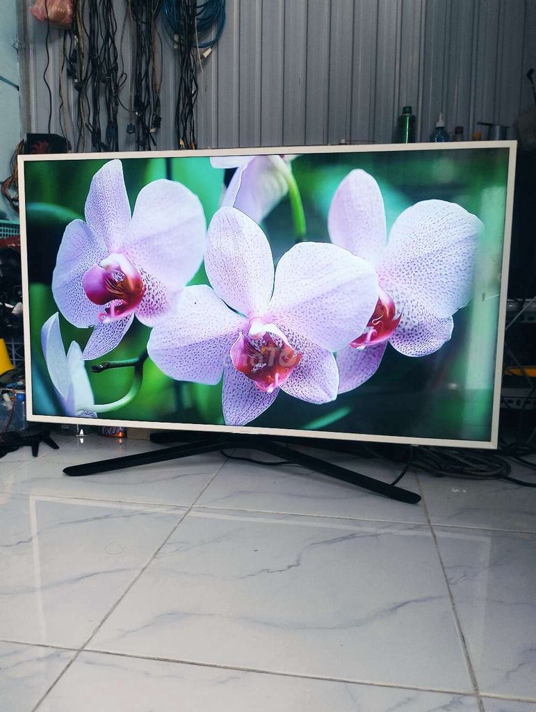 Tivi Samsung 43 inch 4K có mạng màu Trắng. Mua bán Tivi, Âm thanh tại Thành phố Châu Đốc An Giang được đăng bởi Nguyễn Trí  hình 1