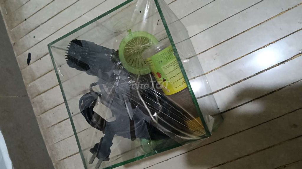 Bể cá mini Kính 15cm có máy oxi. Mua bán Phụ kiện, Thức ăn, Dịch vụ tại Quận Tân Bình Tp Hồ Chí Minh được đăng bởi Hậu hình 1