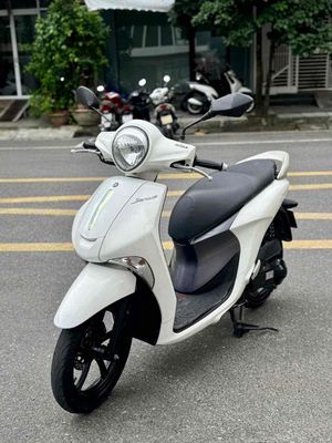 ❤️ Yamaha Janus 2017 màu trắng_Biển số 92. Mua bán Xe máy tại Quận Thanh Khê Đà Nẵng được đăng bởi Cửa Hàng Nguyễn King 159 Đỗ Quang