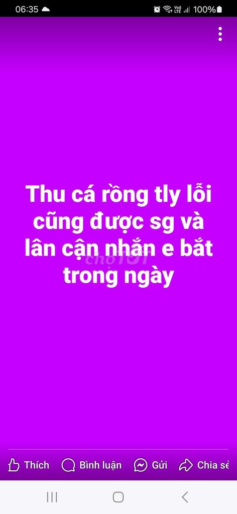 Thu huyết bối hb thanh lý