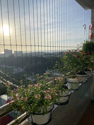 BÁN CHUNG CƯ SEAVIEW 4 TẦNG CAO, LOẠI CĂN 1PN - GIÁ 2,3 TỶ
