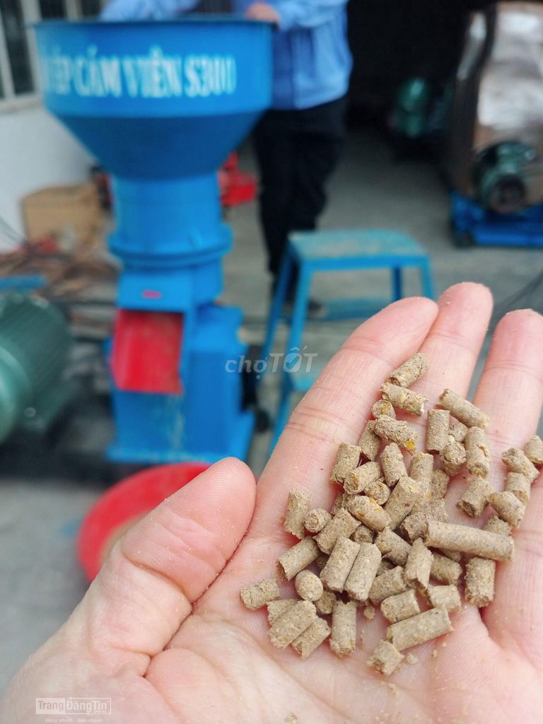 Máy ép cám công nghiệp S300. Mua bán Đồ chuyên dụng, Giống nuôi trồng tại Thị xã Sơn Tây Hà Nội được đăng bởi Kho Bình Minh hình 4