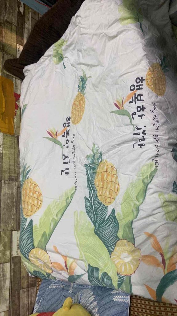 Chăn Zara Home Vàng 1m6 Thu hè. Mua bán Giường, chăn ga gối nệm tại Quận Hải Châu Đà Nẵng được đăng bởi  Buu Heavenly hình 1