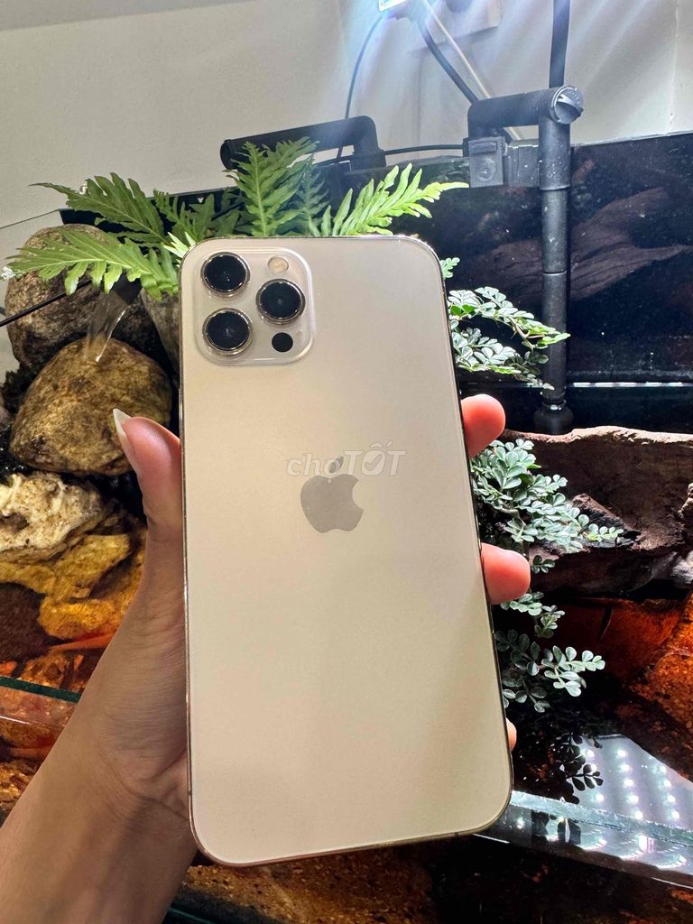iPhone 12 Pro Max sale màn zin ám nhẹ. Mua bán Điện thoại tại Thành phố Huế Thừa Thiên Huế được đăng bởi Pan Phone hình 1