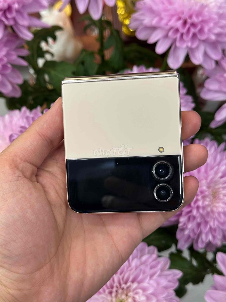 Samsung Z Flip 4 8/256GB Bản Hàn chip 8 + gen 1. Mua bán Điện thoại tại Quận Ninh Kiều Cần Thơ được đăng bởi Quý Mobile Cần thơ hình 1