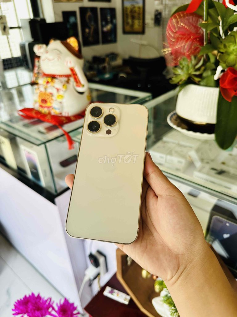 Apple iPhone 13 Pro 128GB Vàng gold. Mua bán Điện thoại tại Thị xã Phú Mỹ Bà Rịa - Vũng Tàu được đăng bởi Bi Táo hình 1