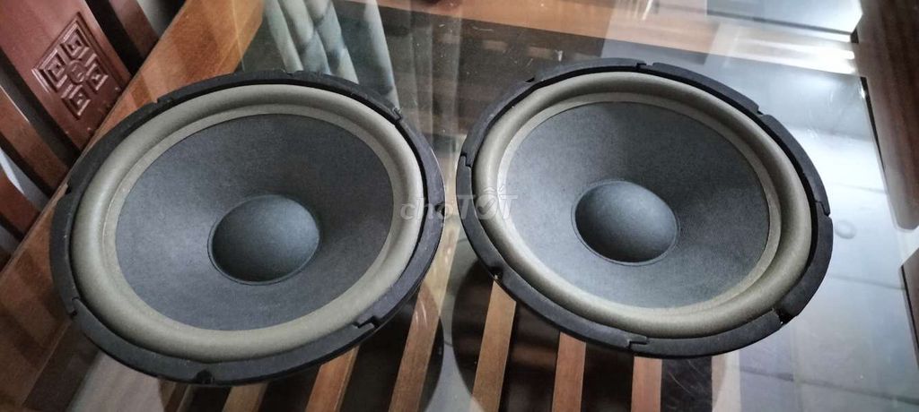 Loa 25cm Đen Nguyên zin. Mua bán Tivi, Âm thanh tại Quận 12 Tp Hồ Chí Minh được đăng bởi diễm linh  hình 1