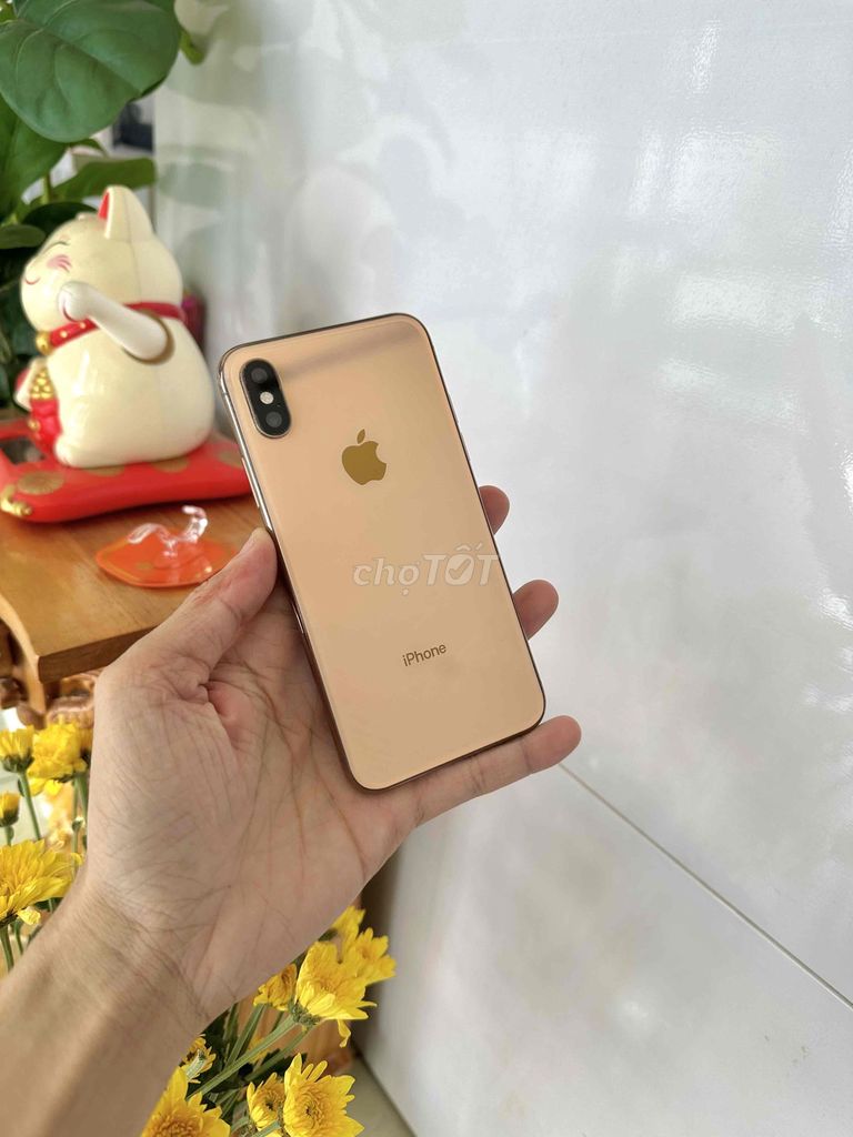 Apple iPhone XS 64GB Vàng Đã sử dụng. Mua bán Điện thoại tại Thành phố Long Xuyên An Giang được đăng bởi phong LX  hình 1