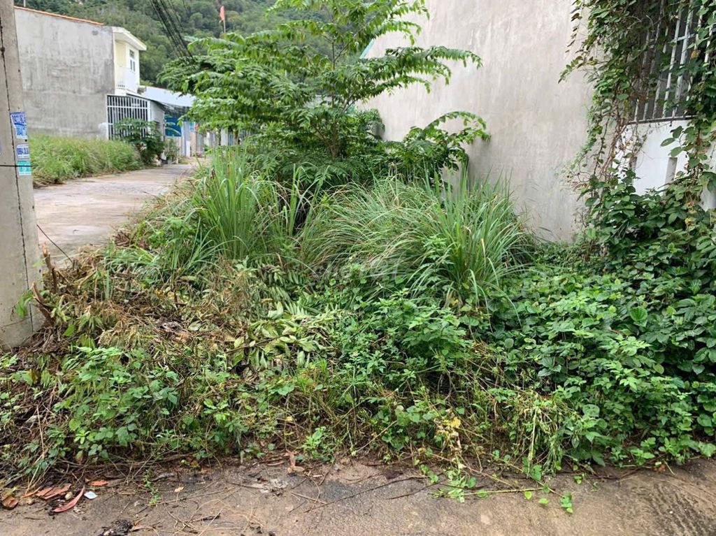 Lô Góc thôn Phước Lộc - Xã Phước Đồng chỉ 1.4 tỷ. Mua bán Đất tại Thành phố Nha Trang Khánh Hòa được đăng bởi Văn Liêm Đất Xã Ven Biển hình 3