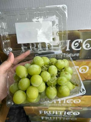 nho xanh Úc Fruitico thùng 7kg net