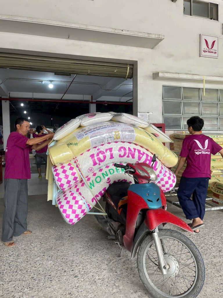 Nệm cao su non Khu vực củ chi, tây ninh