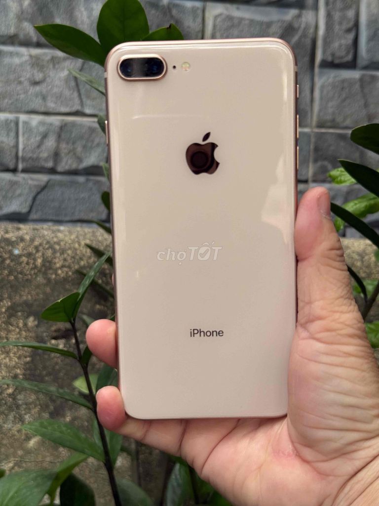 Apple iPhone 8 Plus 128GB Vàng hồng. Mua bán Điện thoại tại Huyện Hóc Môn Tp Hồ Chí Minh được đăng bởi Sonle hình 1