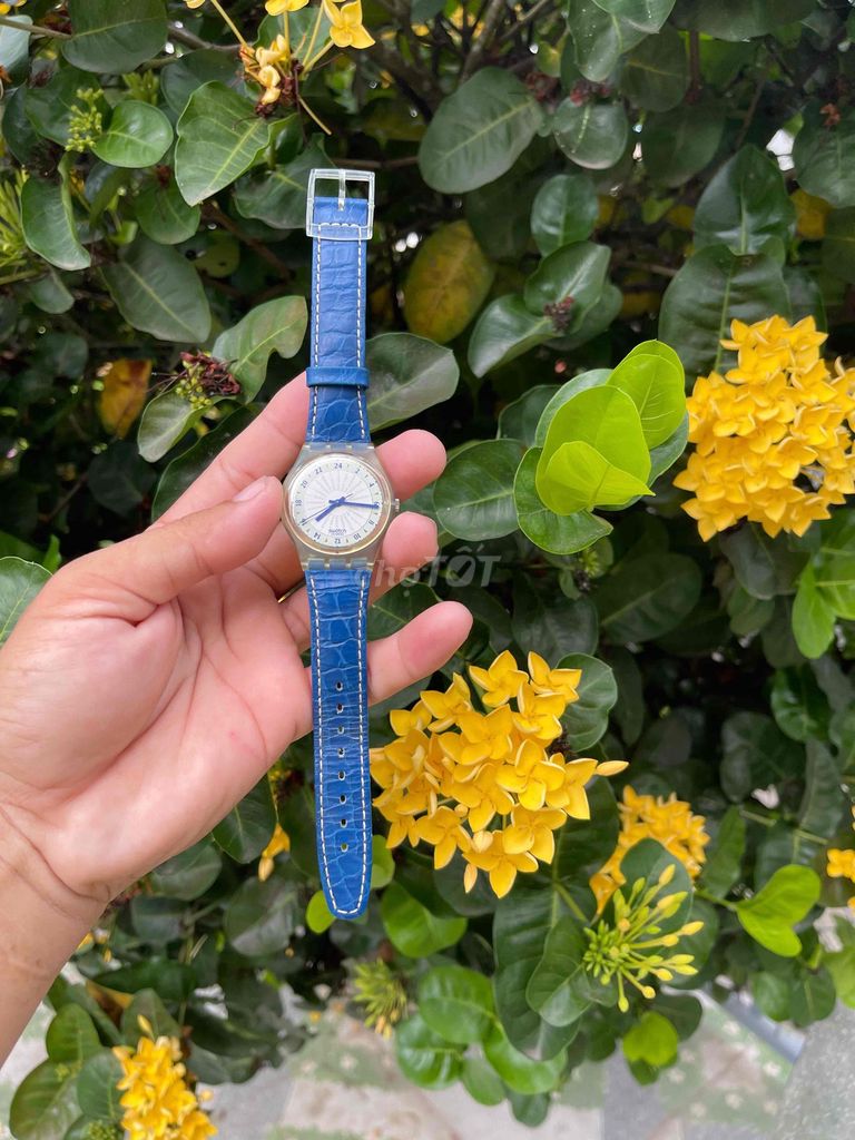Swatch Đồng hồ đeo tay Thụy Sĩ Dây da Xanh. Mua bán Đồng hồ tại Huyện Cầu Kè Trà Vinh được đăng bởi Đức Trí Tâm hình 1