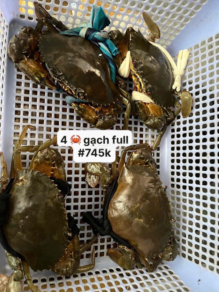 Cua biển Cà Mau Gạch full. Mua bán Đồ ăn, thực phẩm và các loại khác tại Quận Bình Tân Tp Hồ Chí Minh được đăng bởi ĐẶC SẢN CÀ MAU  hình 1