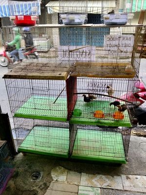thanh lý Chuồng chim/gà sắt 1.2x1.5x0.6m,  đẹp 70%. Mua bán Phụ kiện, Thức ăn, Dịch vụ tại Quận 12 Tp Hồ Chí Minh được đăng bởi thanh