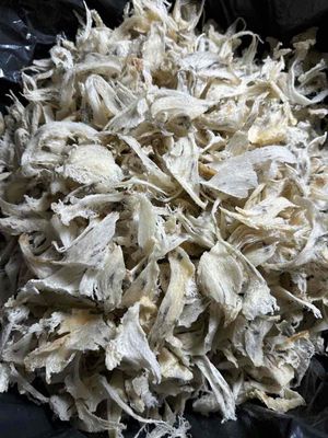 Tổ yến thô. Mua bán Đồ ăn, thực phẩm và các loại khác tại Thành phố Vũng Tàu Bà Rịa - Vũng Tàu được đăng bởi Nguyen Xuan Tiep