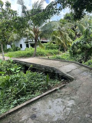Nhà đất trung tâm tpct. Mua bán đất tại Quận Ninh Kiều Cần Thơ được đăng bởi Phung Thuy