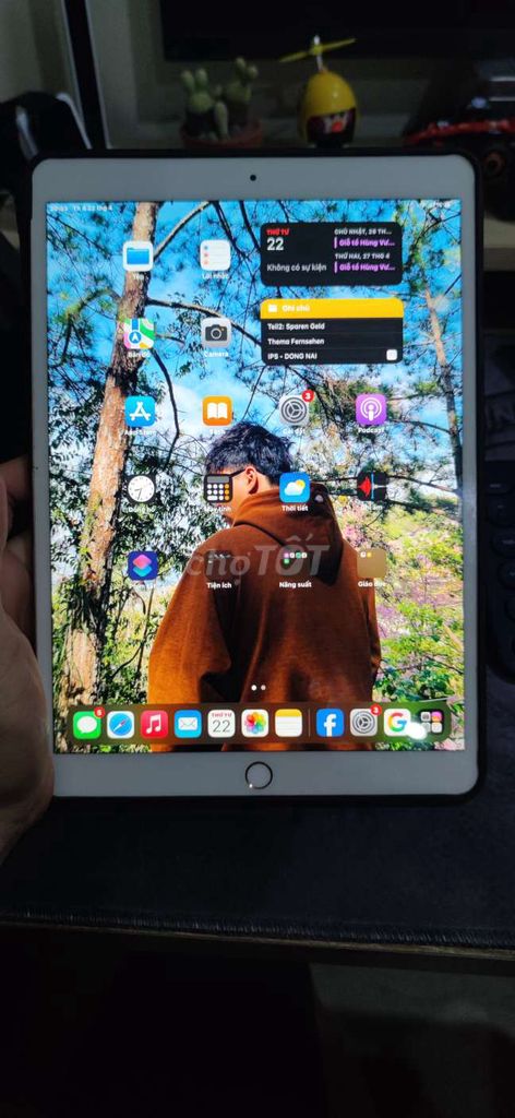 Apple iPad Pro 10.5 256GB Vàng. Mua bán Máy tính bảng tại Thành phố Thủ Đức Tp Hồ Chí Minh được đăng bởi Đức Trung hình 1
