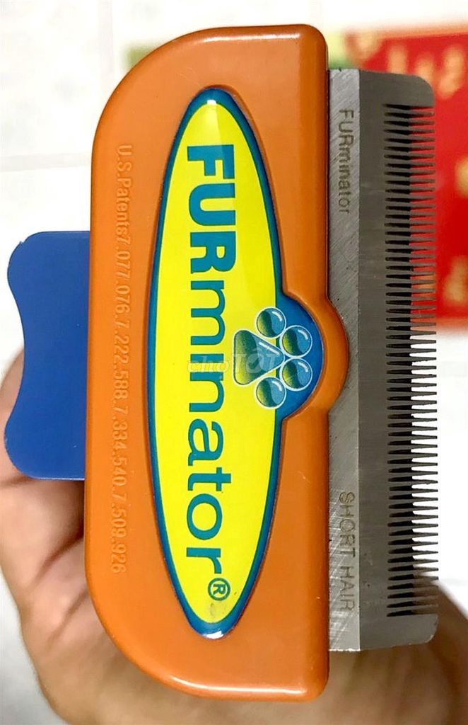 Lược chải lông FURminator Cam. Mua bán Phụ kiện, Thức ăn, Dịch vụ tại Quận Phú Nhuận Tp Hồ Chí Minh được đăng bởi hoa le 3 hình 1