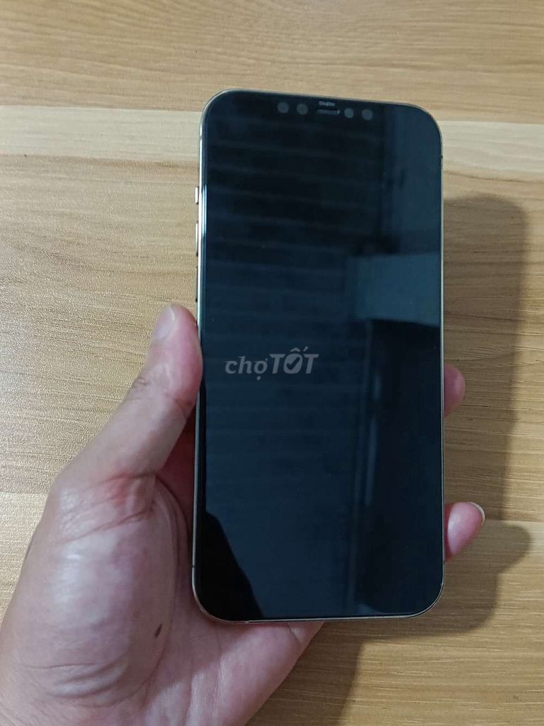 Apple iPhone 12 Pro Max 256GB Vàng. Mua bán Điện thoại tại Thành phố Vĩnh Yên Vĩnh Phúc được đăng bởi Giới hình 1