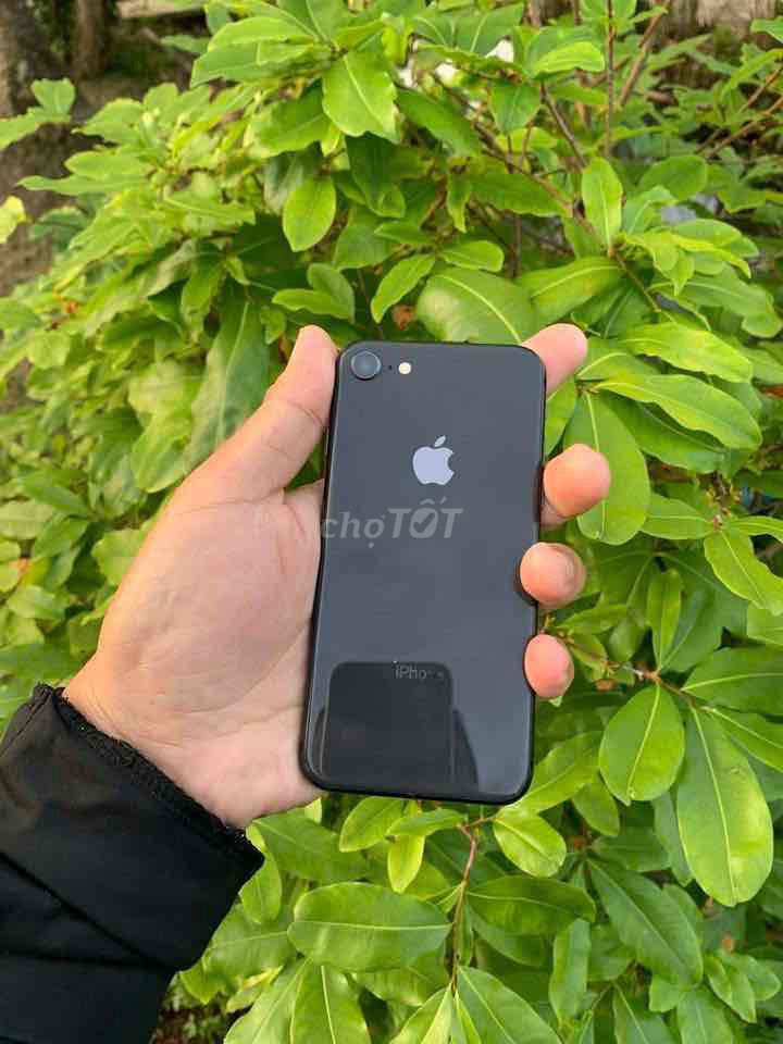 Apple iPhone SE 2020 Đen. Mua bán Điện thoại tại Huyện Cai Lậy Tiền Giang được đăng bởi Tên chưa cung cấp hình 1