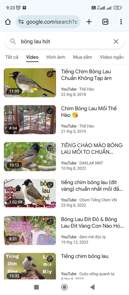 Kiếm 1 bé bông lau có mùa