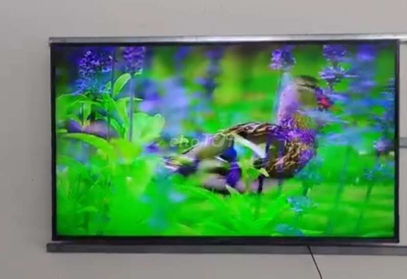 Thanh lý Smart Tivi LG giọng nói 43 inch 4K. Mua bán Tivi, Âm thanh tại Quận 8 Tp Hồ Chí Minh được đăng bởi thảo hình 1
