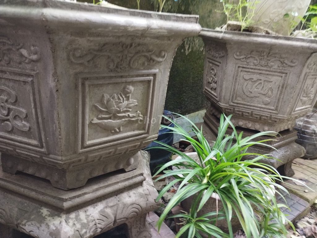 Chậu xi măng lục giác xám 45cm. Mua bán Cây cảnh, đồ trang trí tại Thành phố Cà Mau Cà Mau được đăng bởi Phan dan hình 1