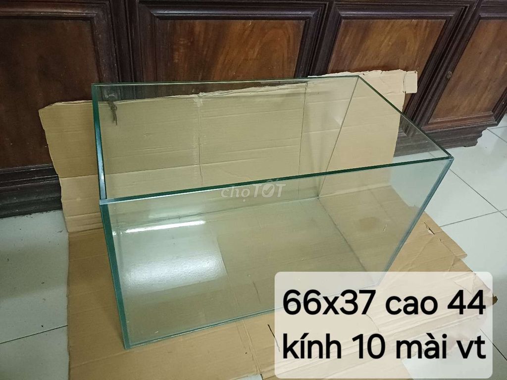 Bể kính 10 ,kt 66 x37 cao 40