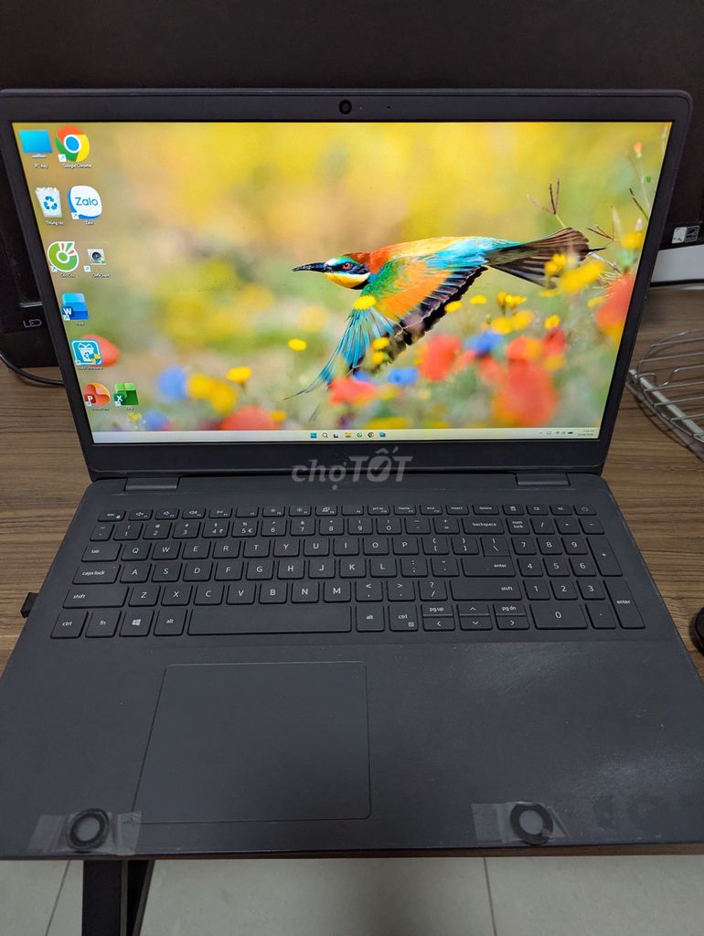Laptop Dell Inspiron 3501. Mua bán Laptop tại Thành phố Thủ Đức Tp Hồ Chí Minh được đăng bởi Hòa hình 1
