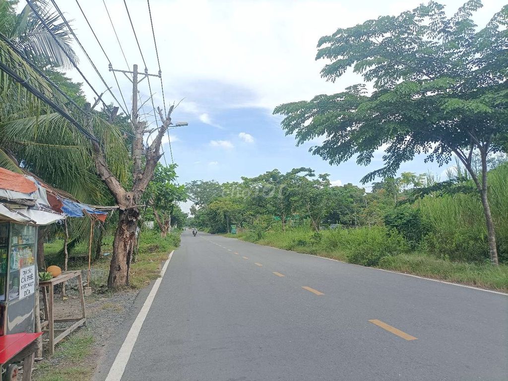 Cho thuê đất mặt tiền Ngô Quang Thắm đối diện chợ